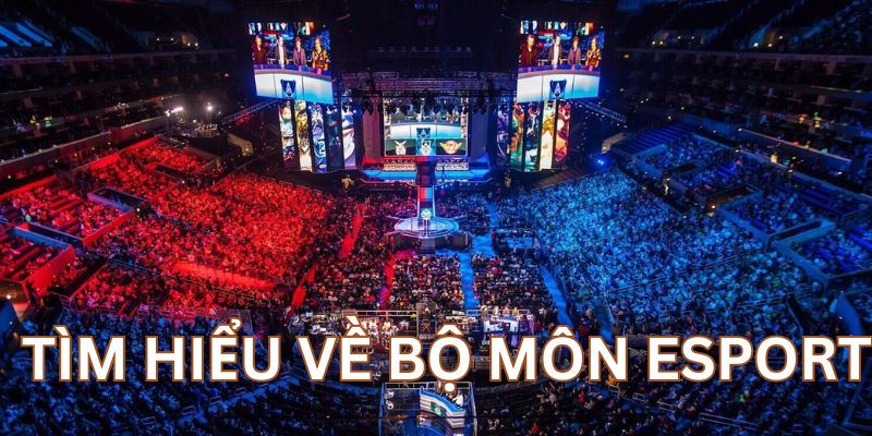 Tìm hiểu sơ lược về bộ môn Esport 